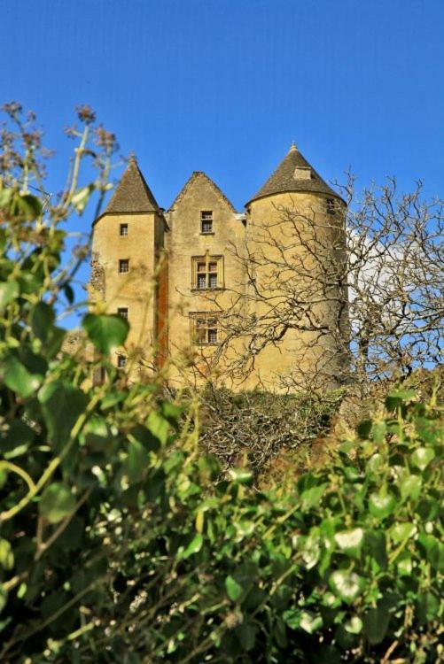 Petite Maison En Pierre Au Coeur Du Perigord Noir Salignac Eyvigues Exterior photo